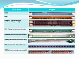 Tipo de ranura           Imagen
DDR3

DDR2

RIMM (se usan en algunos
servidores básicamente)




DDR (Actualmente descontinuado)



DIMM (Actualmente descontinuado)



SIMM (Actualmente descontinuado)



SIP (Actualmente descontinuado)



TSOP (Actualmente descontinuado)
 