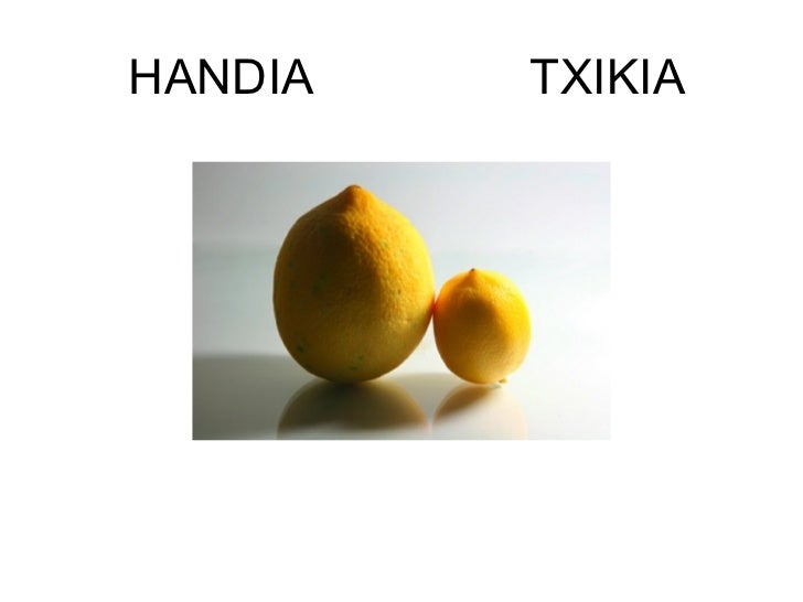 HANDIA TXIKIA