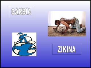 GARBIA ZIKINA 