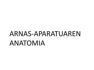 ARNAS-APARATUAREN
ANATOMIA
 