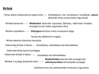 Birikak
•Torax aldean kokaturiko bi organo dira Elastikotasun eta sendotasun handikoak, pleura
deituriko mintz seroso batez inguratuak
•Birikak banaturik Mediastino deituriko espazioaz (bihotza, odol-hodi handiak,
hestegorria eta trakea inguratzen ditu)
•Biriken azpialdean Diafragma deritzon mintz muskularra dago
Toraxa eta abdomena mugatu
•Birika bakoitza lobulutan banatuta
•Eskuineko birikak 3 lobulu Goialdekoa, erdialdekoa eta behealdekoa
Ezkerreko birika baino handiagoa
•Ezkerreko birikak 2 lobulu Goialdekoa eta behealdekoa
•Birikek 2 aurpegi desberdin dute
Mediastinikoa edo barruko aurpegia eta
saihetsezurrekoa edo kanpoko aurpegia
Saihetsezurrez eta saihetsarteko muskuluez inguratuta
 