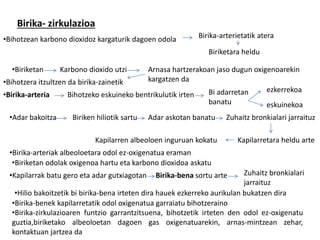 Birika- zirkulazioa
•Bihotzean karbono dioxidoz kargaturik dagoen odola Birika-arterietatik atera
Biriketara heldu
•Biriketan Karbono dioxido utzi Arnasa hartzerakoan jaso dugun oxigenoarekin
kargatzen da•Bihotzera itzultzen da birika-zainetik
•Birika-arteria Bihotzeko eskuineko bentrikulutik irten Bi adarretan
banatu
ezkerrekoa
eskuinekoa
•Adar bakoitza Biriken hiliotik sartu Adar askotan banatu Zuhaitz bronkialari jarraituz
Kapilarretara heldu arteKapilarren albeoloen inguruan kokatu
•Birika-arteriak albeoloetara odol ez-oxigenatua eraman
•Biriketan odolak oxigenoa hartu eta karbono dioxidoa askatu
•Kapilarrak batu gero eta adar gutxiagotan Birika-bena sortu arte Zuhaitz bronkialari
jarraituz
•Hilio bakoitzetik bi birika-bena irteten dira hauek ezkerreko aurikulan bukatzen dira
•Birika-benek kapilarretatik odol oxigenatua garraiatu bihotzeraino
•Birika-zirkulazioaren funtzio garrantzitsuena, bihotzetik irteten den odol ez-oxigenatu
guztia,biriketako albeoloetan dagoen gas oxigenatuarekin, arnas-mintzean zehar,
kontaktuan jartzea da
 