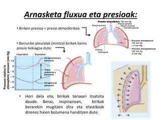 Arnasketa fluxua eta presioak:
• Hori dela eta, birikak toraxari itsatsita
daude. Beraz, inspirazioan, birikak
berarekin mugitzen dira eta elastikoak
direnez haien bolumena handitzen dute.
• Biriken presioa = presio atmosferikoa:
• Barrunbe pleuralak (mintza) birikek baino
presio txikiagoa dute:
 