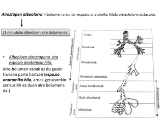 • Albeoloen aireztapena eta
espazio anatomiko hila.
Aire-bolumen osoak ez du gasen
trukean parte hartzen (espazio
anatomiko hila, arnas-geruzarekin
zerikusirik ez duen aire bolumena
da.)
Aireztapen albeolarra =(bolumen arrunta- espazio anatomiko hila)x arnasketa-maiztasuna.
(1 minutuko albeoloen aire bolumena)
 