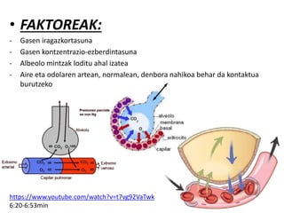 • FAKTOREAK:
- Gasen iragazkortasuna
- Gasen kontzentrazio-ezberdintasuna
- Albeolo mintzak loditu ahal izatea
- Aire eta odolaren artean, normalean, denbora nahikoa behar da kontaktua
burutzeko
https://www.youtube.com/watch?v=t7vg92VaTwk
6:20-6:53min
 