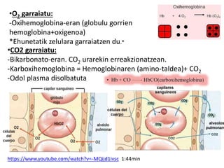 •CO2 garraiatu:
-Bikarbonato-eran. CO2 urarekin erreakzionatzean.
-Karboxihemoglobina = Hemoglobinaren (amino-taldea)+ CO2
-Odol plasma disolbatuta
https://www.youtube.com/watch?v=-MQijd1ivsc 1:44min
•O2 garraiatu:
-Oxihemoglobina-eran (globulu gorrien
hemoglobina+oxigenoa)
*Ehunetatik zelulara garraiatzen du.*
 