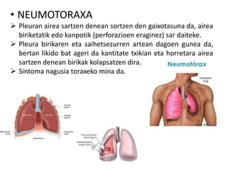 • NEUMOTORAXA
 Pleuran airea sartzen denean sortzen den gaixotasuna da, airea
biriketatik edo kanpotik (perforazioen eraginez) sar daiteke.
 Pleura birikaren eta saihetsezurren artean dagoen gunea da,
bertan likido bat ageri da kantitate txikian eta horretara airea
sartzen denean birikak kolapsatzen dira.
 Sintoma nagusia toraxeko mina da.
 