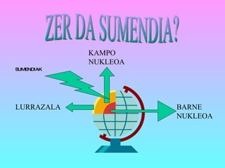 ZER DA SUMENDIA? BARNE NUKLEOA KAMPO NUKLEOA LURRAZALA SUMENDIAK 