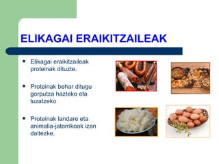ELIKAGAI ERAIKITZAILEAK Elikagai eraikitzaileak proteinak dituzte. Proteinak behar ditugu gorputza hazteko eta luzatzeko Proteinak landare eta animalia-jatorrikoak izan daitezke. 