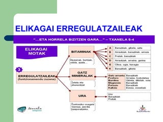 ELIKAGAI ERREGULATZAILEAK 