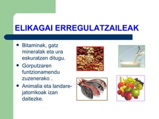 ELIKAGAI ERREGULATZAILEAK Bitaminak, gatz mineralak eta ura eskuratzen ditugu. Gorputzaren funtzionamendu zuzenerako . Animalia eta landare- jatorrikoak izan daitezke. 
