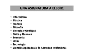 • Informática
• Plástica
• Francés
• Filosofía
• Biología y Geología
• Física y Química
• Economía
• Latín
• Tecnología
• Ciencias Aplicadas a la Actividad Profesional
UNA ASIGNATURA A ELEGIR:
 