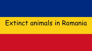Extinct animals in Romania
 