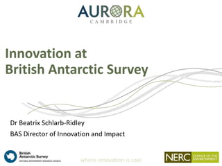 where innovation is cool
Innovation at
British Antarctic Survey
Dr Beatrix Schlarb-Ridley
BAS Director of Innovation and Impact
 