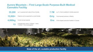 Aurora Mountain – First Large-Scale Purpose-Built Medical
Cannabis Facility
sq. ft. purpose-built, state of the art facility
State of the art, scalable production facility
55,200
15,000+
4,800kg
13
Patients can be supported by current facility
Current annual capacity
Licensed grow rooms: 10 flower, 1 clone,
1 mother, 1 micro-propagation
sq. ft. of land available for facility expansion
Fully licensed producer in Alberta
Of the largest production facilities in Canada
7.7M
Only
One
 