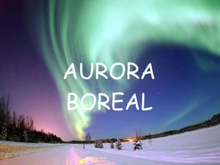 AURORA BOREAL 