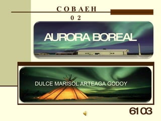 DULCE MARISOL ARTEAGA GODOY AURORA BOREAL 6103 COBAEH 02 