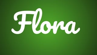 Flora
 