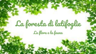 La foresta di latifoglie
La flora e la fauna
 