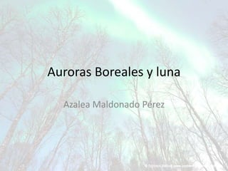Auroras Boreales y luna

  Azalea Maldonado Pérez
 