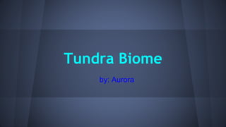 Tundra Biome
by: Aurora
 