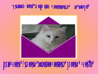 Puisse  notre amitié continuer à grandir  Et la chaleur que nous ressentons continuer de nous réchauffer 