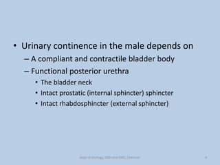 • Urinary continence in the male depends on
– A compliant and contractile bladder body
– Functional posterior urethra
• The bladder neck
• Intact prostatic (internal sphincter) sphincter
• Intact rhabdosphincter (external sphincter)
4
Dept of Urology, GRH and KMC, Chennai.
 