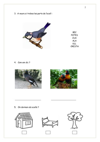2


3. A veure si trobes les parts de l’ocell :




                                                BEC
                                              POTES
                                               CUA
                                               ALA
                                               ULL
                                              CRESTA




4. Com em dic ?




5. On dormen els ocells ?
 