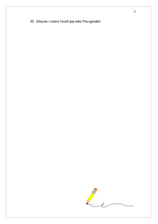 4


10. Dibuixa i colora l’ocell que més t’ha agradat:
 