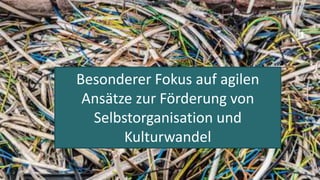 TeamworksPLUS® Modul 3 14
Besonderer Fokus auf agilen
Ansätze zur Förderung von
Selbstorganisation und
Kulturwandel
 