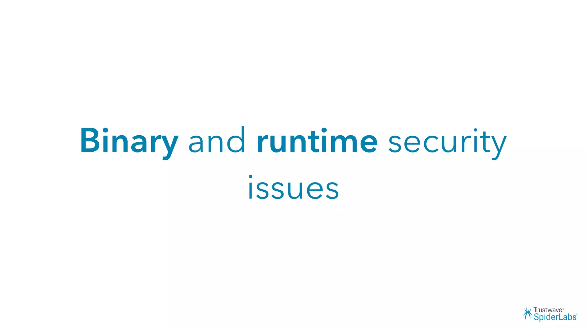 Binary and runtime security
issues
 