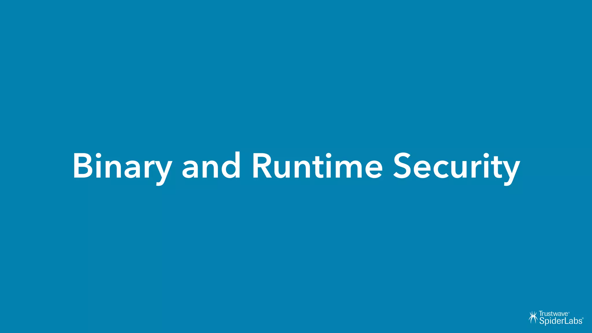Binary and Runtime Security
 
