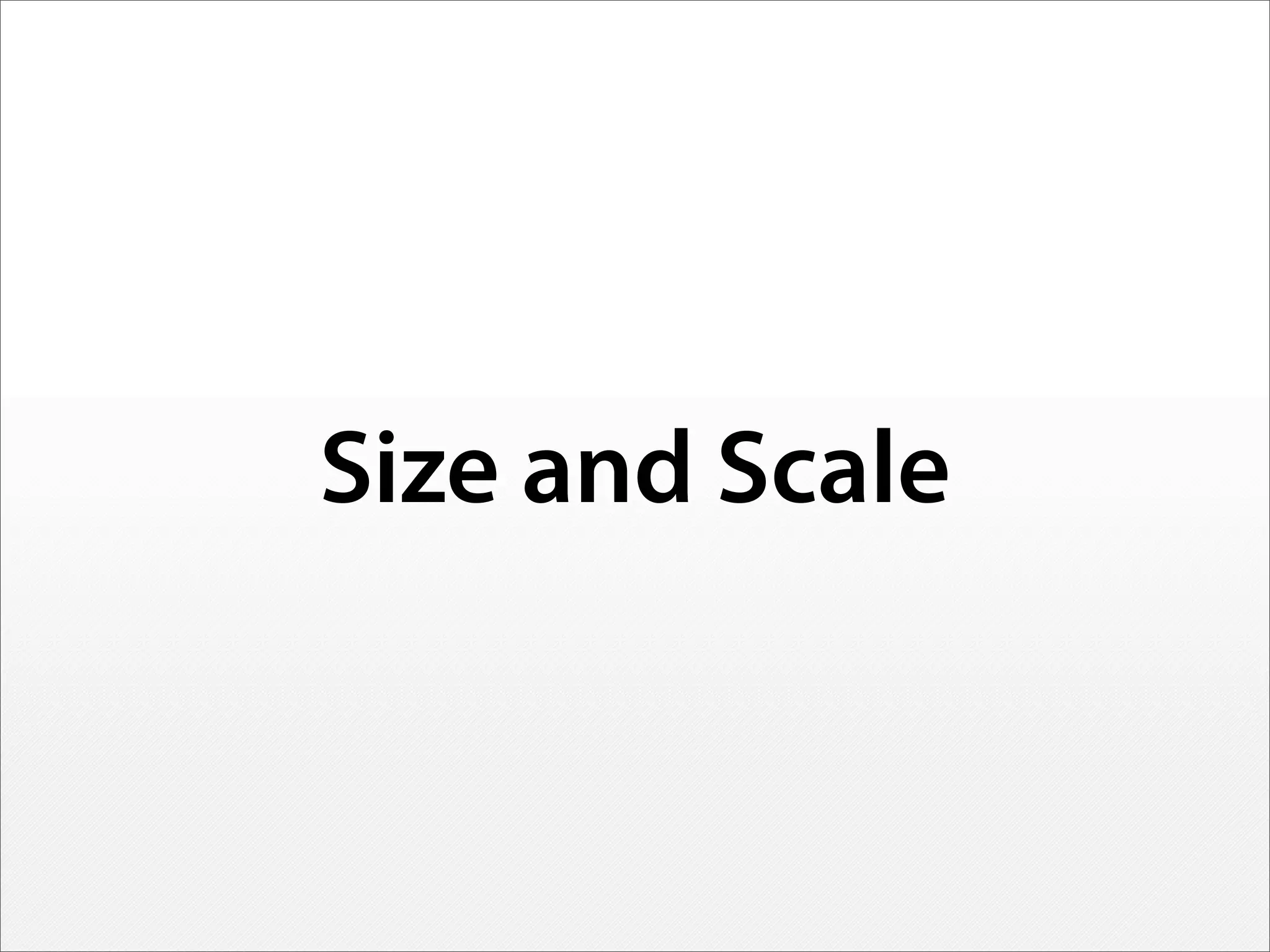 Size and Scale
 
