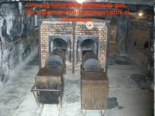 Una vez fuera de la cámara de gas,  los cadáveres eran transportados al crematorio  