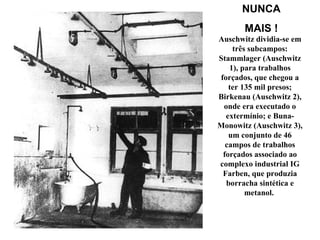 Auschwitz dividia-se em três subcampos: Stammlager (Auschwitz 1), para trabalhos forçados, que chegou a ter 135 mil presos; Birkenau (Auschwitz 2), onde era executado o extermínio; e Buna-Monowitz (Auschwitz 3), um conjunto de 46 campos de trabalhos forçados associado ao complexo industrial IG Farben, que produzia borracha sintética e metanol.  NUNCA MAIS ! 
