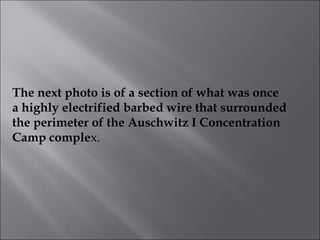 The next photo is of a section of what was once a highly electrified barbed wire that surrounded  the perimeter of the Auschwitz I Concentration  Camp comple x. 