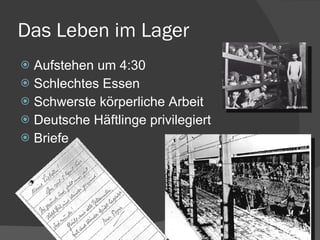 Das Leben im Lager Aufstehen um 4:30 Schlechtes Essen Schwerste körperliche Arbeit Deutsche Häftlinge privilegiert Briefe 