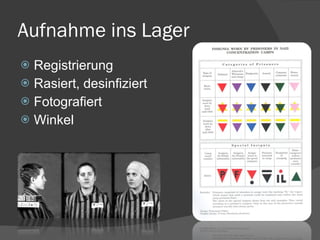 Aufnahme ins Lager Registrierung Rasiert, desinfiziert Fotografiert Winkel 