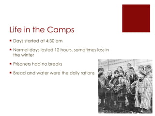 Life in the Camps Days started at 4:30 am Normal days lasted 12 hours, sometimes less in the winter Prisoners had no breaks Bread and water were the daily rations  