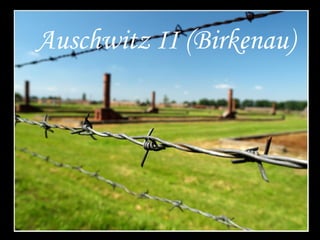 Auschwitz II (Birkenau)
 