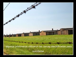 algunos prisioneros utilizaron las cercas electrificadas para
suicidarse
 