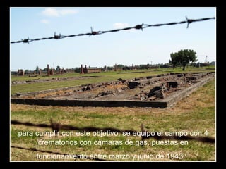 para cumplir con este objetivo, se equipó el campo con 4
crematorios con cámaras de gas, puestas en
funcionamiento entre marzo y junio de 1943
 