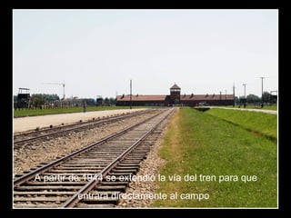 A partir de 1944 se extendió la vía del tren para que
entrara directamente al campo
 