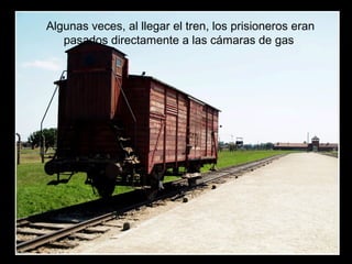 Algunas veces, al llegar el tren, los prisioneros eran
pasados directamente a las cámaras de gas
 