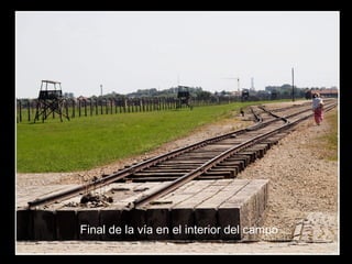 Final de la vía en el interior del campo
 