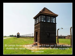 El campo tenía una extensión de 2,5 km por 2 km y estaba
dividido en varias secciones, cada una de ellas separada
en campos
 