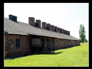 contaba con 250 barracones de madera y piedra
 
