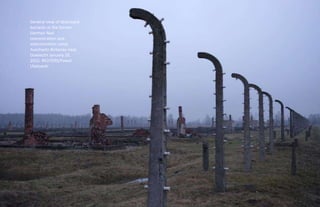 Auschwitz Survivors, 70th Anniversary of the Liberation of the Nazi ...
