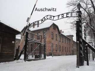 Auschwitz
 