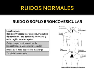 RUIDO O SOPLO BRONCOVESICULAR
Localización:
Región infraescapular derecha, manubrio
del esternón , art. Esternoclaviculares y
en la región interescapular
Origen: superposición del soplo
laringotraqueal y murmullo vesicular
Intensidad: fase espiratoria más larga
Tonalidad intermedia
 